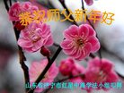 Published on 1/1/2017 ���ֹ�,��½�󷨵��ӹ�ףʦ�������(28��)