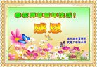 Published on 1/1/2017 ���ֹ�,��½�󷨵��ӹ�ףʦ�������(28��)