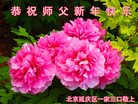 Published on 1/1/2017 ���ֹ�,��½�󷨵��ӹ�ףʦ�������(28��)