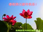 Published on 1/1/2017 ���ֹ�,��½�󷨵��ӹ�ףʦ�������(28��)