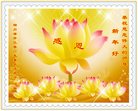 Published on 1/1/2017 ���ֹ�,��½�󷨵��ӹ�ףʦ�������(28��)