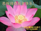 Published on 12/31/2016 ���ֹ�,��½�󷨵��ӹ�ףʦ�������(34��)