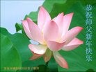 Published on 1/1/2017 ���ֹ�,���������˹�ףʦ�������(24��)