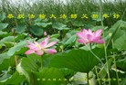 Published on 12/29/2016 ���ֹ�,��½�󷨵��ӹ�ףʦ�������(31��)