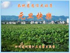 Published on 12/29/2016 ���ֹ�,��½�󷨵��ӹ�ףʦ�������(31��)
