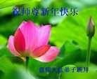 ֹ,̽󷨵ӹףʦ(28)