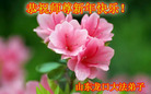 Published on 12/31/2016 ���ֹ�,��½�󷨵��ӹ�ףʦ�������(44��)