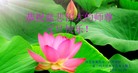 Published on 12/31/2016 ���ֹ�,��½�󷨵��ӹ�ףʦ�������(25��)