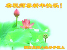 Published on 12/30/2016 ���ֹ�,��½�󷨵��ӹ�ףʦ�������(29��)