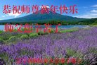 ֹ,󷨵ӹףʦ(25)