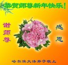 Published on 12/31/2016 ���ֹ�,��½�󷨵��ӹ�ףʦ�������(26��)