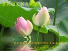 Published on 12/31/2016 ���ֹ�,��½�󷨵��ӹ�ףʦ�������(26��)