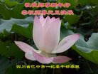 Published on 12/31/2016 ���ֹ�,��½�󷨵��ӹ�ףʦ�������(26��)