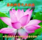 Published on 12/31/2016 ���ֹ�,�Ƿ���Ѻ�󷨵��ӹ�ףʦ�������(22��)