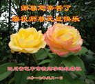 Published on 12/31/2016 ���ֹ�,��½�󷨵��ӹ�ףʦ�������(26��)