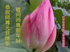 Published on 12/31/2016 ���ֹ�,��½�󷨵��ӹ�ףʦ�������(26��)