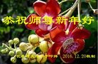 Published on 12/31/2016 ���ֹ�,��½�󷨵��ӹ�ףʦ�������(26��)