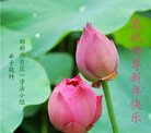 Published on 12/30/2016 ���ֹ�,��½�󷨵��ӹ�ףʦ�������(27��)