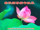 Published on 12/30/2016 ���ֹ�,��½�󷨵��ӹ�ףʦ�������(27��)