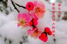 Published on 12/31/2016 ���ֹ�,��½�󷨵��ӹ�ףʦ�������(25��)