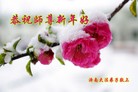 ֹ,ϴ󷨵ӹףʦ(23)