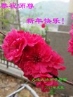 ֹ,󷨵ӹףʦ(25)