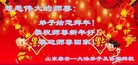 Published on 12/31/2016 ���ֹ�,��½�󷨵��ӹ�ףʦ�������(34��)