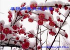 Published on 12/31/2016 ���ֹ�,��½�󷨵��ӹ�ףʦ�������(34��)