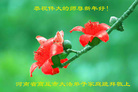 Published on 12/30/2016 ���ֹ�,��½�󷨵��ӹ�ףʦ�������(33��)