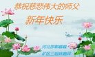 Published on 12/30/2016 ���ֹ�,��½�󷨵��ӹ�ףʦ�������(37��)
