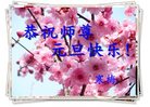 Published on 12/30/2016 ���ֹ�,��½�󷨵��ӹ�ףʦ�������(29��)