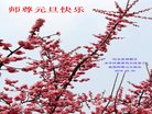 Published on 12/30/2016 ���ֹ�,��½�󷨵��ӹ�ףʦ�������(29��)