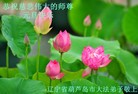 ֹ,«󷨵ӹףʦ(25)