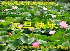 Published on 12/30/2016 ���ֹ�,��½�󷨵��ӹ�ףʦ�������(29��)