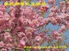 ֹ,֣ݴ󷨵ӹףʦ(25)