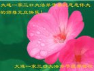 ֹ,󷨵ӹףʦ(18)