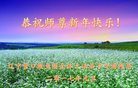 Published on 12/30/2016 ���ֹ�,��½�󷨵��ӹ�ףʦ�������(35��)