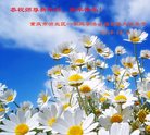 ֹ,󷨵ӹףʦ(28)