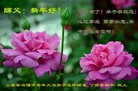 Published on 12/30/2016 ���ֹ�,��½�󷨵��ӹ�ףʦ�������(27��)