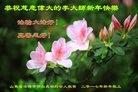 Published on 1/1/2017 ���ֹ�,���������˹�ףʦ�������(24��)