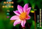 Published on 12/30/2016 ���ֹ�,��½�󷨵��ӹ�ףʦ�������(27��)