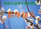 Published on 12/31/2016 ���ֹ�,��½�󷨵��ӹ�ףʦ�������(34��)