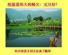 Published on 1/1/2017 ���ֹ�,��½�󷨵��ӹ�ףʦ�������(36��)