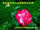 Published on 12/31/2016 ���ֹ�,��½�󷨵��ӹ�ףʦ�������(44��)