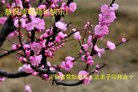 Published on 12/31/2016 ���ֹ�,��½�󷨵��ӹ�ףʦ�������(34��)