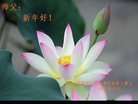 Published on 12/31/2016 ���ֹ�,��½�󷨵��ӹ�ףʦ�������(26��)