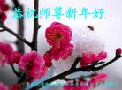Published on 12/31/2016 ���ֹ�,��½�󷨵��ӹ�ףʦ�������(26��)