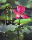 Published on 12/31/2016 ���ֹ�,��½�󷨵��ӹ�ףʦ�������(26��)