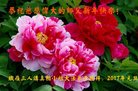 Published on 12/31/2016 ���ֹ�,��½�󷨵��ӹ�ףʦ�������(26��)