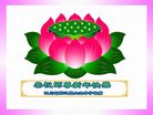 Published on 12/31/2016 ���ֹ�,��½�󷨵��ӹ�ףʦ�������(26��)